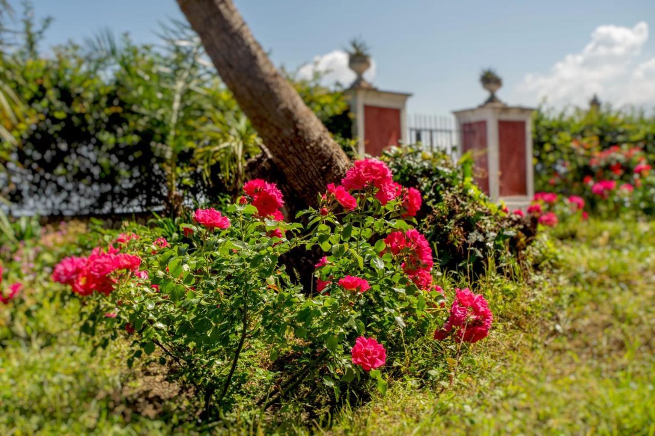 Relais Al Castello Bed & Breakfast Castellammare di Stabia Ngoại thất bức ảnh